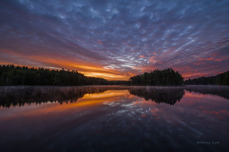 Vasikkasaari, Kallavesi