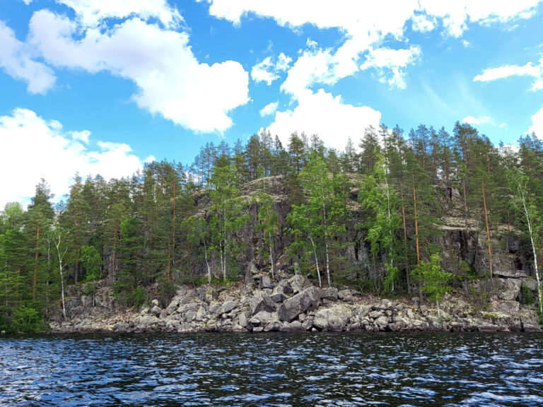 Linnasaari